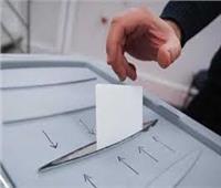 قري الغربية تسعي لتشكيل تكتلات تصويتية لدعم مرشحيها في انتخابات النواب
