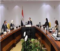 رئيس الوزراء: مصر لديها فرص كبيرة لتصدير الدواء للخارج