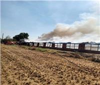 صور| السيطرة على حريق بمزرعة دواجن في زفتى 