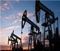 معهد البترول: تراجع مخزونات الخام والوقود الأمريكية في أحدث أسبوع