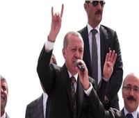 فيديو| «الذئاب الرمادية» منظمة أردوغان لتهديد وقتل معارضيه
