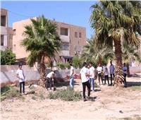 شباب مبادرة «مصر الجميلة » ينظفون حديقة الزهور بطور سيناء  