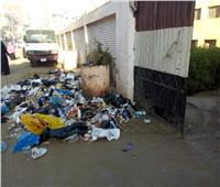 صور| تراكم أكوام القمامة أمام مدارس قرية «البتانون» بالمنوفية