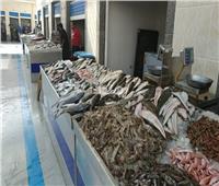 استقرار أسعار الأسماك في سوق العبور اليوم 19 أكتوبر