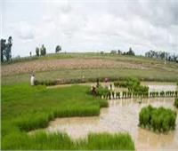 «الزراعة» تعلن توصيات هامة للمزارعين لتجنب الآثار السلبية للأمطار