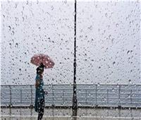 تحذير هام من «الكهرباء» للمواطنين بشأن الأمطار المتوقعة
