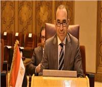 سفير مصر بألمانيا يدعو المصريين للتمسك بحقوقهم الدستورية في انتخابات النواب