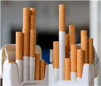 تعرف على الأسعار الجديدة لسجائر «المونديال»