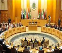 رئيس بعثة الجامعة العربية: خطة لمتابعة انتخابات مجلس النواب بعدد من المحافظات