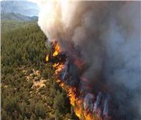 أوامر بإجلاء 60 ألفا في جنوب كاليفورنيا بسبب حريق غابات