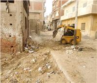 رفع القمامة وصيانة الكهرباء فى مدينة أبوصوير بالإسماعيلية