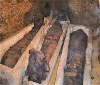عشرات المقابر ومئات التماثيل...أهم الاكتشافات الأثرية في «تونا الجبل»