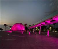 إضاءة مكتبة الإسكندرية باللون الوردي لمحاربة «سرطان الثدي الانتشاري»