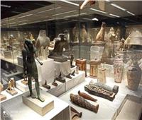 الرئيس السيسي يفتتح متحف كفر الشيخ بتكلفة ٦٣ مليون جنيه