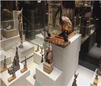  كنوز «متحف كفر الشيخ» بالفيديو والصور