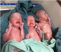 صور | ولادة ٣ توائم بمستشفى الأقصر العام