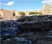 صور| القمامة تحاصر أهالي ميدان الشيخ حسن بالفيوم