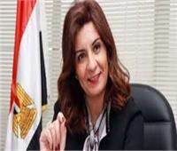 «الهجرة» تستعرض جهود المستثمرين المصريين بالخارج في التعاون مع الشركات المصرية