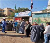 انتخابات النواب 2020 |احتشاد المواطنين أمام اللجان بـ «قرى» المنوفية 