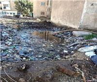 أهالى وردان محاصرون بـ «برك الصرف الصحى» والقمامة.. صور