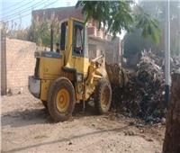 رفع ١٠٠طن مخلفات وقمامة من شوارع  المنيا