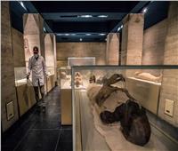 المتحف المصري يبدأ عرض 50 تابوتا بديلا عن المومياوات الملكية