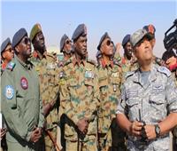رزق: العلاقات المصرية السودانية خاصة وتاريخية