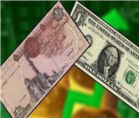 سعر الدولار أمام الجنيه المصري في البنوك بختام التعاملات