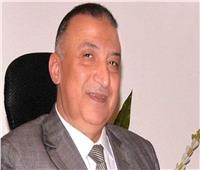 محافظ الإسكندرية: إعدام 517 شيشة تم ضبطها في 15 مقهى مخالف