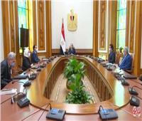 الرئيس السيسي يوجه كلمة إلى الشعب المصري بشأن مواجهة فيروس كورونا