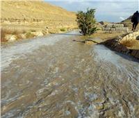 محمية وادي دجلة تنقل مياه الأمطار من الجبال إلى نهر النيل| صور وفيديو