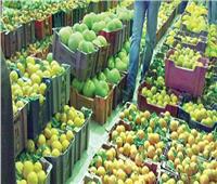 الزراعة: ارتفاع صادرات مصر لـ 4.8 مليون طن