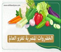 إنفوجراف| الخضروات المصرية تغزو العالم والثوم في المقدمة 