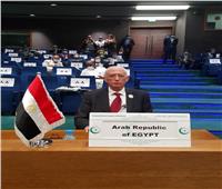 مصر تشارك فى اجتماع مجلس وزراء خارجية منظمة التعاون الإسلامى بنيامى