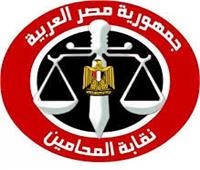 «المحامين» تناقش مستجدات إنشاء «أكاديمية المحاماة» ..غدا الأحد
