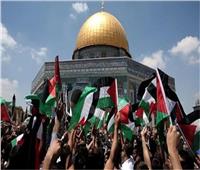 مساعد وزير الخارجية يُشارك في «اليوم العالمي للتضامن مع شعب فلسطين»