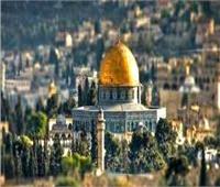 الأوقاف الفلسطينية: الاحتلال يغير طابع المدينة المقدسة