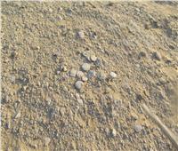 «قروش الملك».. صخور تشبه العملات القديمة في محمية وادي الريان| صور