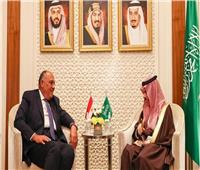 السعودية تؤكد دعمها لمصر في أزمة سد النهضة