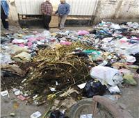 صور| تلال القمامة تغلق أبواب مدارس اليوسفي والتحرير بالمنيا 