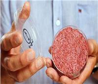 سنغافورة.. أول دولة تقر بيع اللحوم المصنعة في المعامل