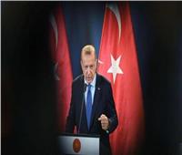 خبير بالشأن التركي: ملف حقوق الإنسان في عهد أردوغان هو الأسوأ| فيديو