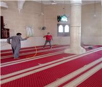 تعقيم المساجد وتطهير الترع وصيانة أعمدة الإنارة بالمحلة