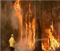 فيديو| حريق يهدد بلدة أسترالية مدرجة على قائمة التراث العالمي