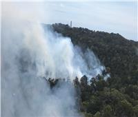 رجال الإطفاء يحجمون انتشار حريق غابات بأستراليا يهدد بلدة بجزيرة فريزر