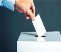 توقف عملية التصويت بلجان الانتخابات لمدة ساعة للراحة القضائية