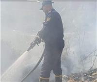 السيطرة على حريق هائل بتجمع قمامة بقرية الحجاز بالإسماعيلية 
