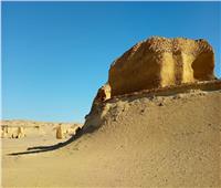 وزيرة البيئة: «وادي الحيتان» أحد مواقع التراث العالمي الجيولوجي في مصر