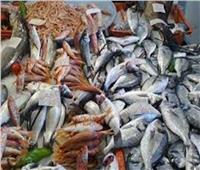«شحنة أسماك» و«أطنان من اللحوم الفاسدة».. الأبرز بضربات تموين القليوبية 