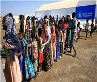 مجلس الأمن يتهم إثيوبيا بعرقلة جهود الإغاثة الإنسانية في تيجراي